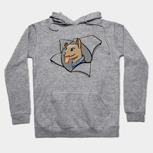 Here comes the good boy! Hoodie